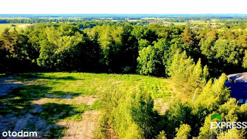 Brzezinka Średzka-cisza, spokój, blisko Wrocławia