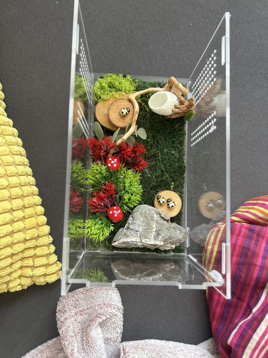 Terrarium rezerwacja