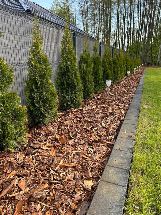 Kora Sosnowa Ogrodowa 80l Sortowana Gdańsk Gdynia Sopot Dowóz Gratis