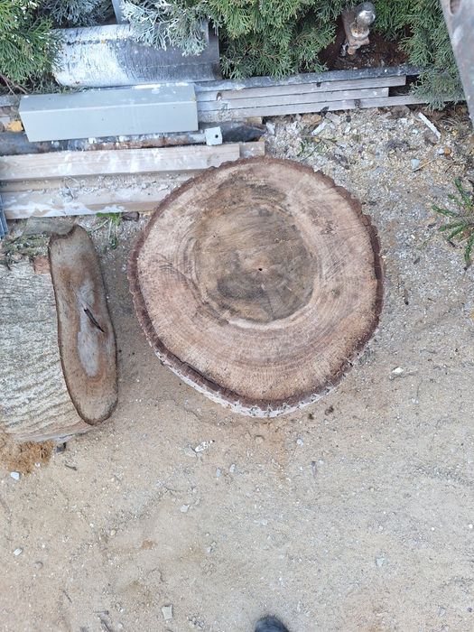 Krążki drewniane orzech