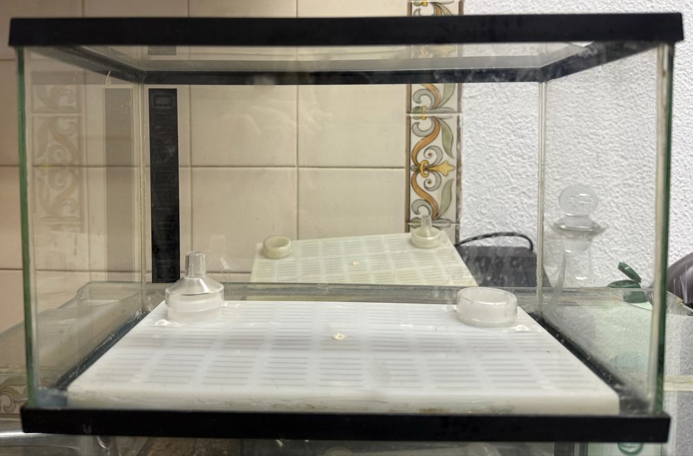 Aquário c/ Tampa em Acrílico – 100% Estanque