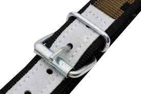 Kantar dla cieląt Profi, zielony, z okuciami, Can Agri