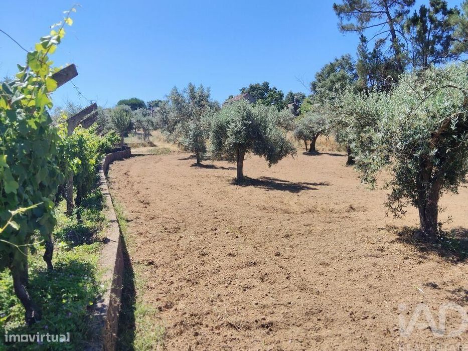 Terreno em Castelo