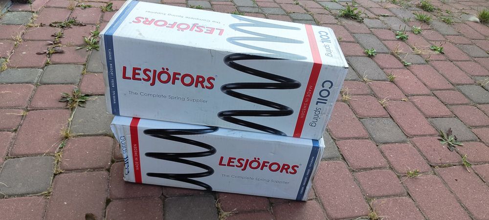 Дві пружини Ford focus нові