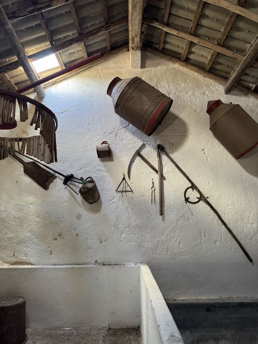 Artigos e maquinas de adega