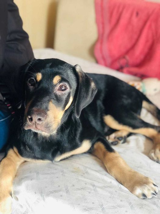 Mãe e filho porte médio