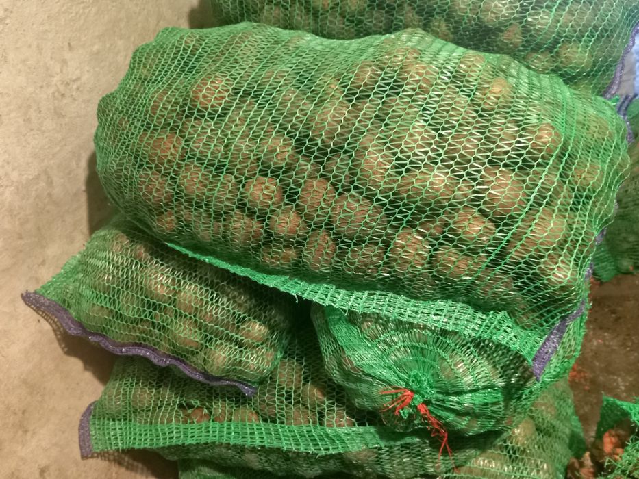 Продам картошку.