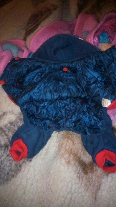 Комбинезон для собачки.