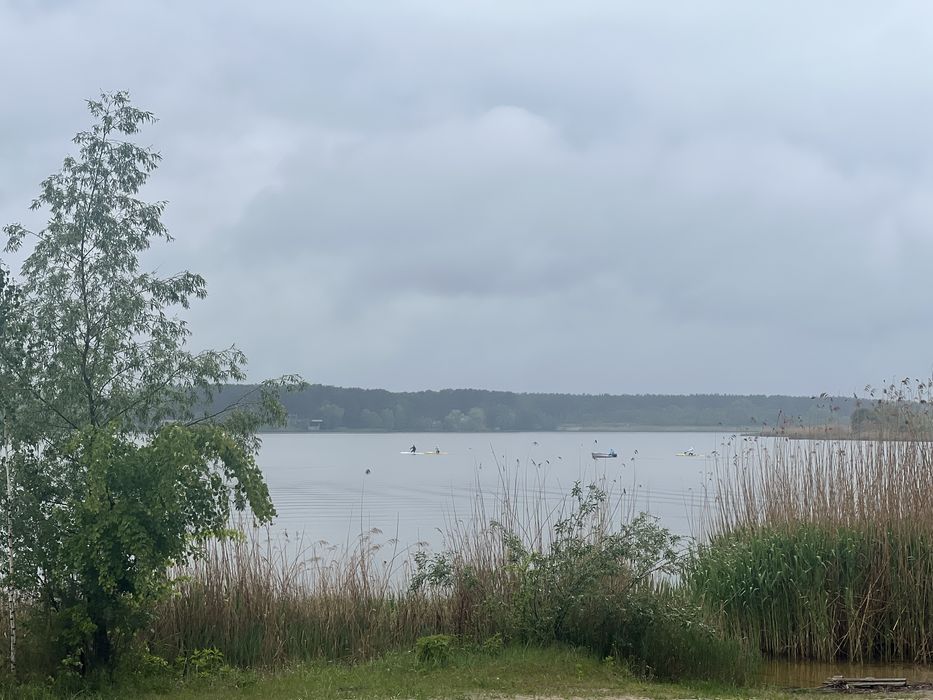 Продажа участка 108соток Вода Лес Таценки/земельна ділянка Ліс Вода