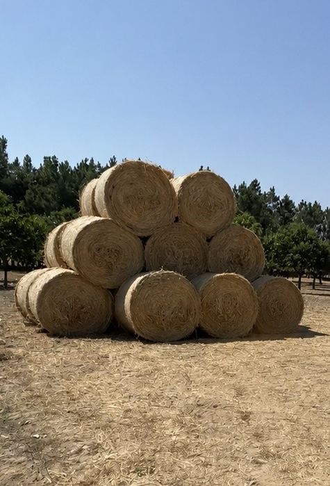 Rolos De Palha BARATOS