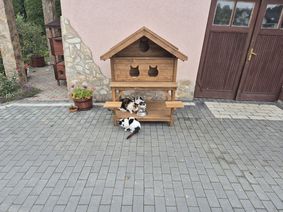 Buda dla trzech  kotów