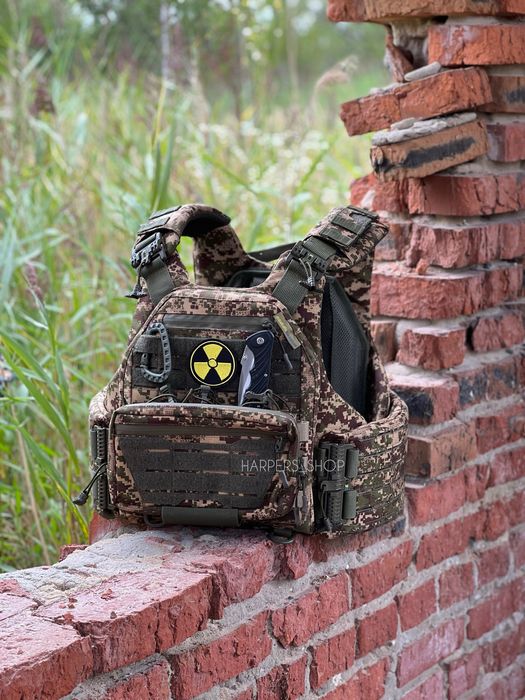 Плитоноска хижак, чорна