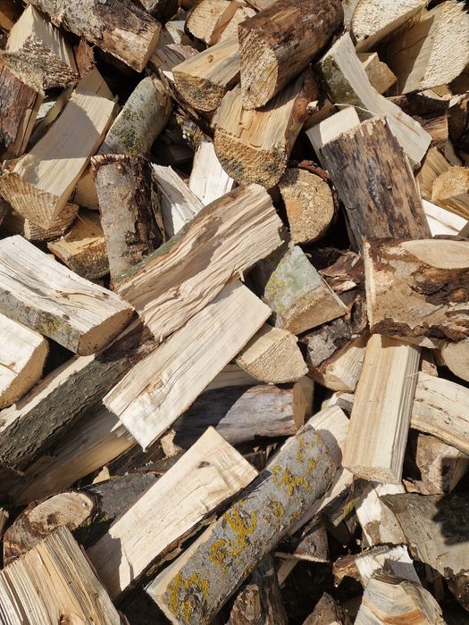 Drzewo drewno opałowe