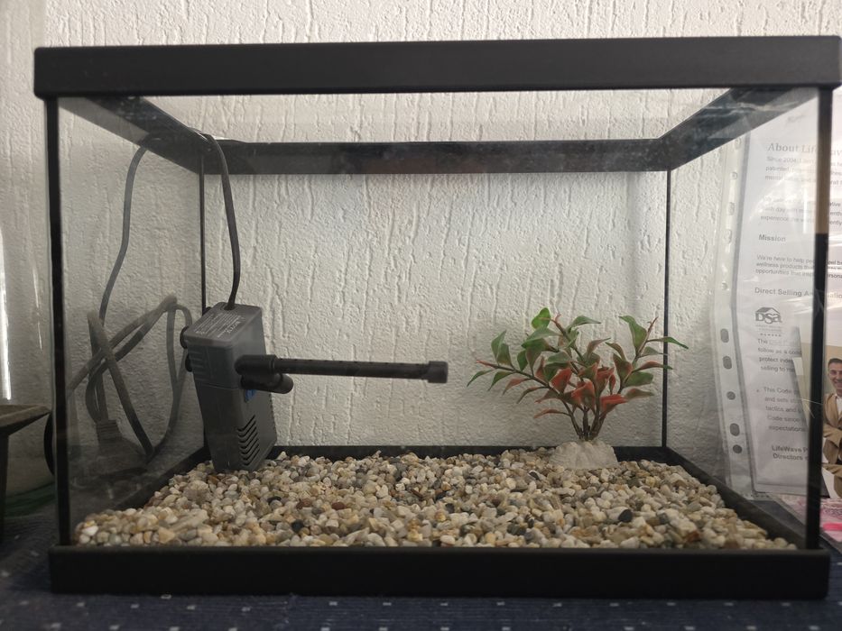 Vendo aquário pequeno em excelente estado