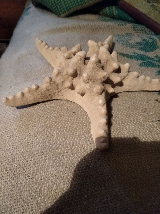 Продам фотоаппарат старый  синема в хорошем состоянии