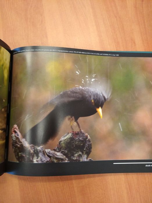 Livro "A paixão pelas aves desde Trás-os-Montes" (2015)