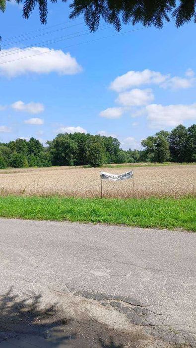Sprzedam działkę rolną 40 arów – Płonki, okolice Kurowa - Widok 2