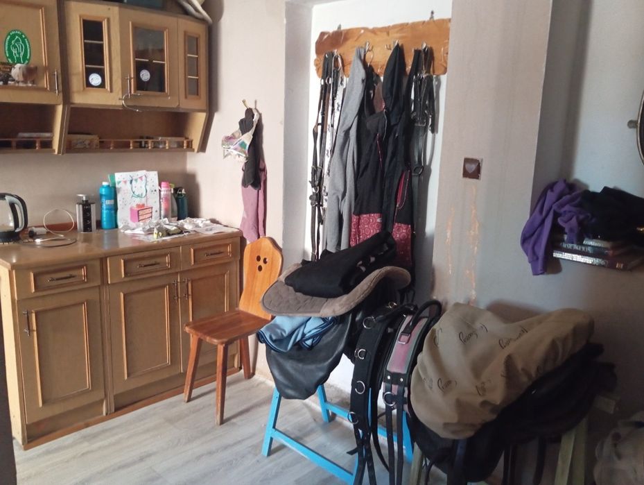 Wolny boks, pensjonat dla konia Pruchna