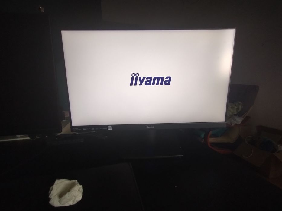Monitor IIyama ProLite XU2494HSU