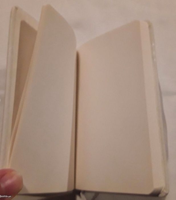 Artigos vários com publicidade à cerveja Sagres,  novos!