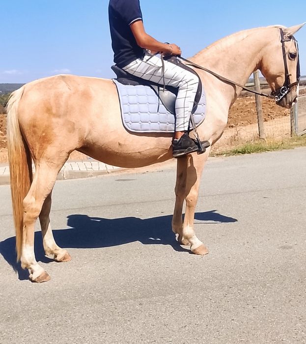 Venda ou troca ,