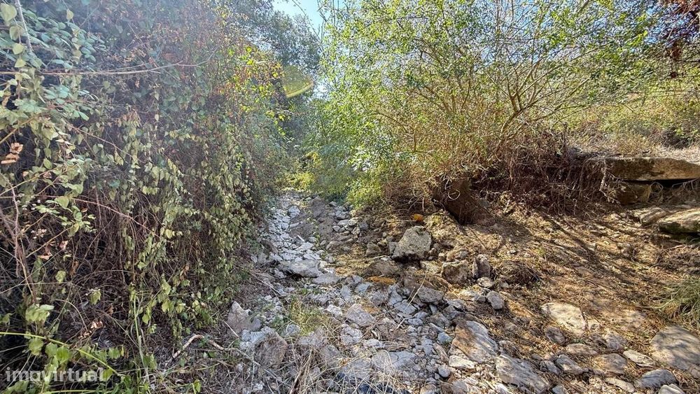 Terreno Rústico Plano com Ribeiro – Venda do Pinheiro / Mafra