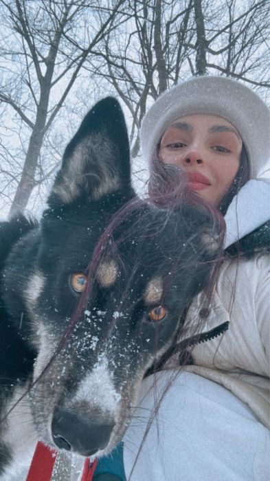 Шукаю дім песику безкоштовно