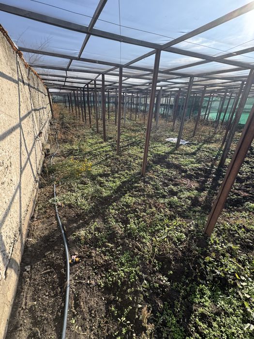 Оренда ферма/комерційна нерухомість/овоческлад/теплиці