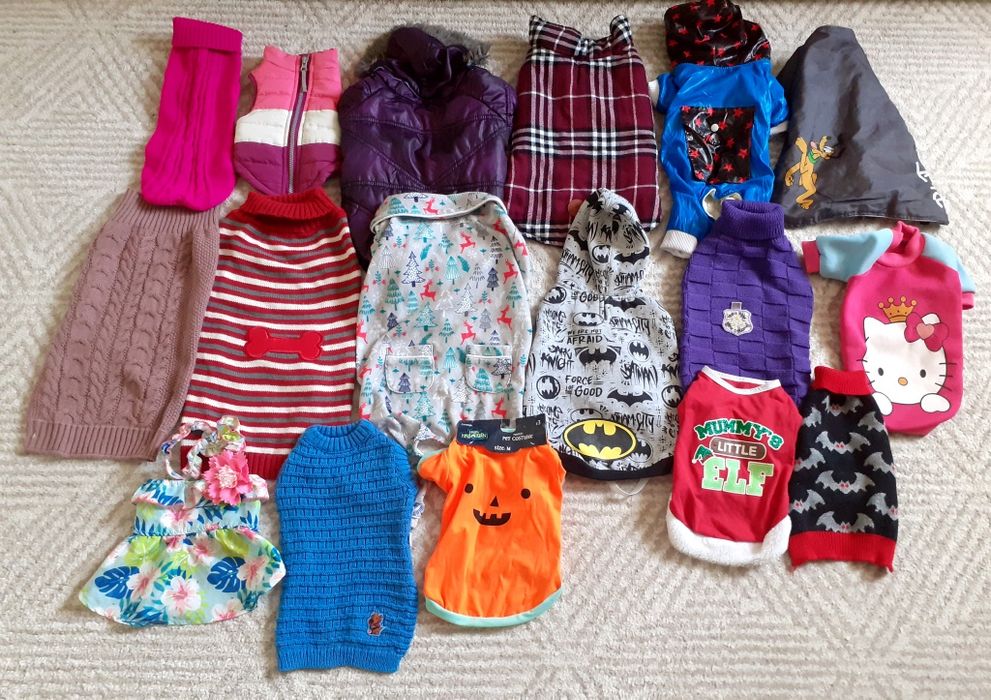 Фірмовий класний новий і б.у одяг,одежда песику,собаке,кофта,куртка