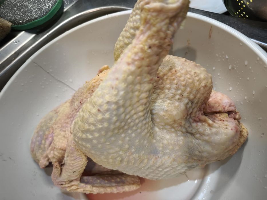 Tuszki kaczek oraz kogutów