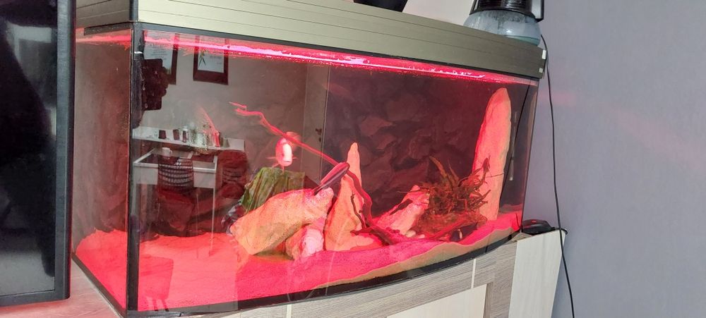 Dekoracja do akwarium - skały