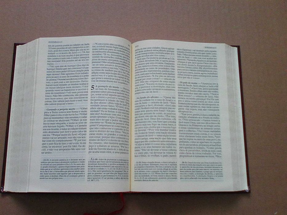 Biblia Sagrada - Paulus