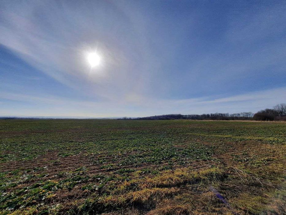 Продаж земельної ділянки село Дуліби