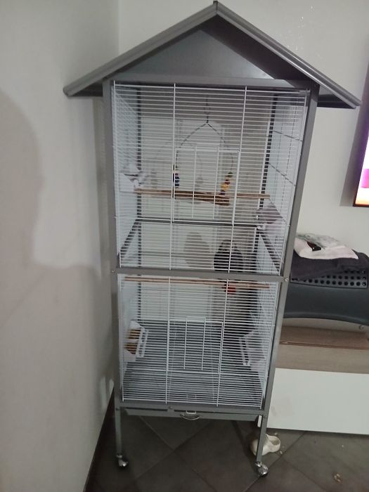 Vendo gaiola ...
