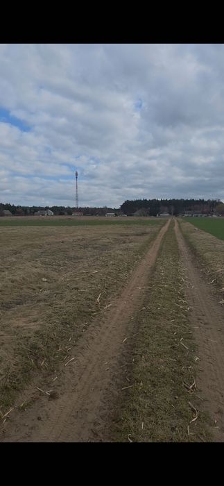 Sprzedam działki budowlane Borowo gmina Rogowo powiat rypiński - 13 działek