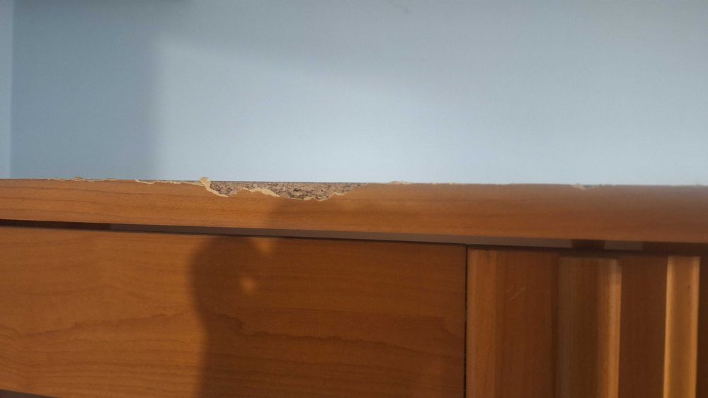 Oddam witrynę kolor olcha