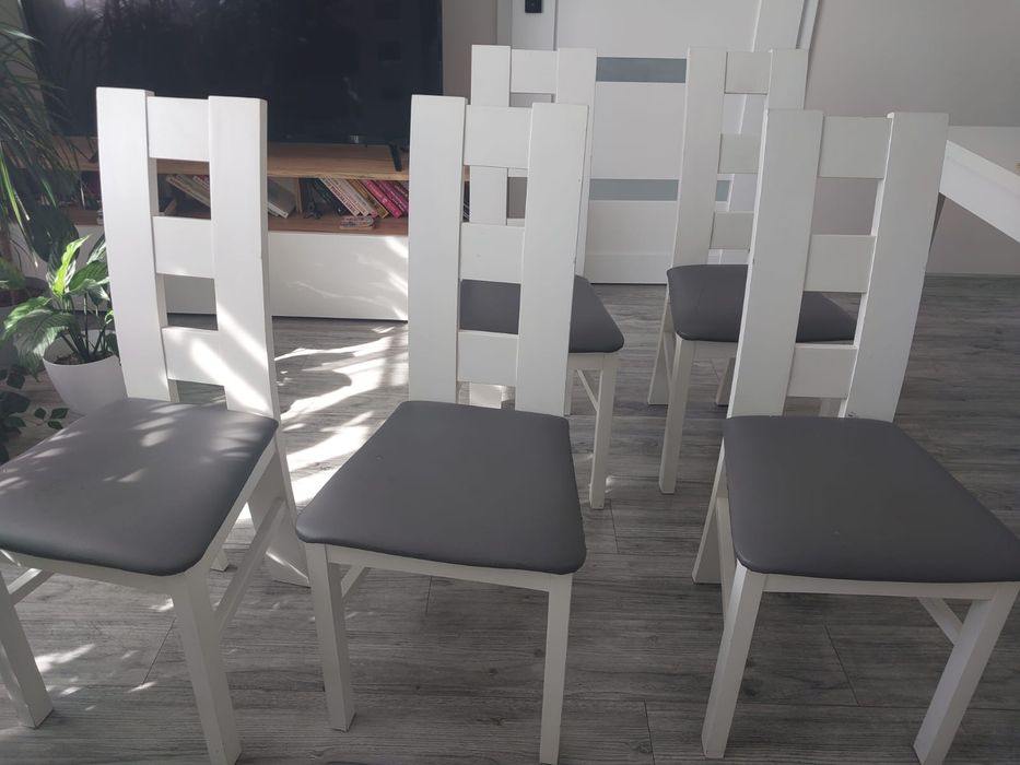 Krzesła Salonowe