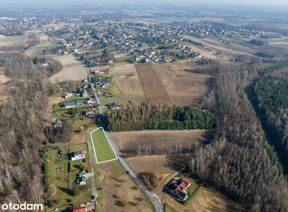 Zdjęcie 7