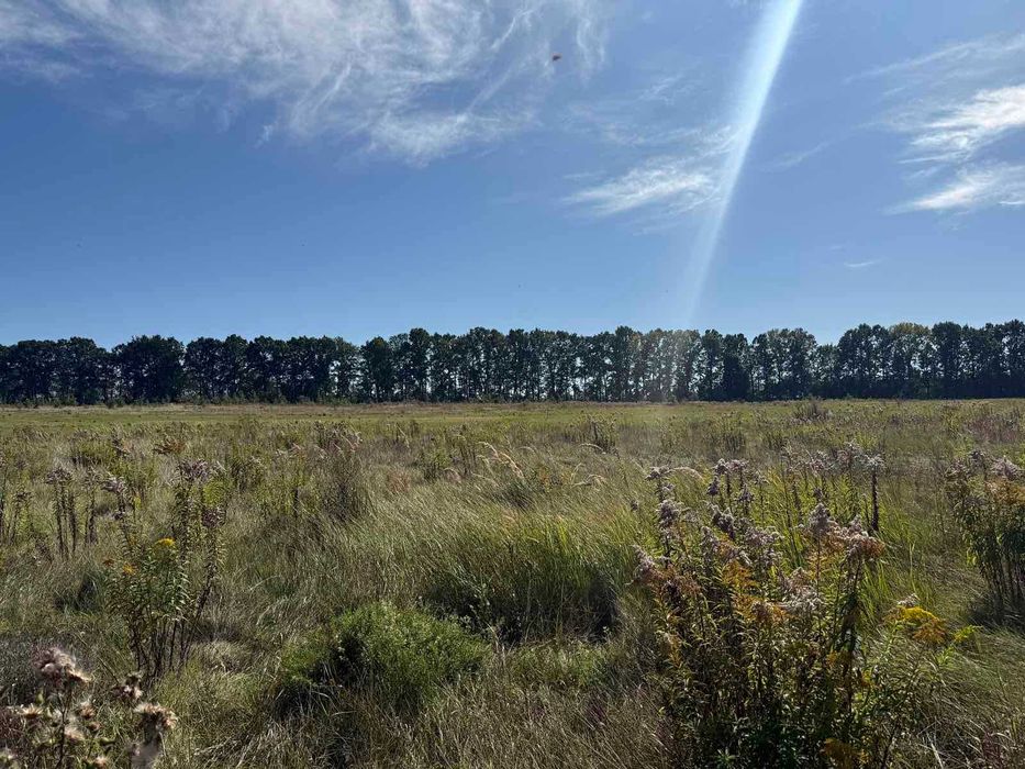 Продаж зем. ділянки під житл. забудову, 7 сот., с. Лаврівка