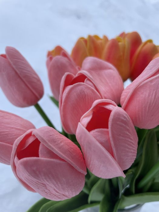 Квіти латексні тюльпани