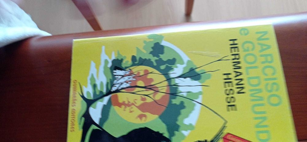 Livros - Herman Hess