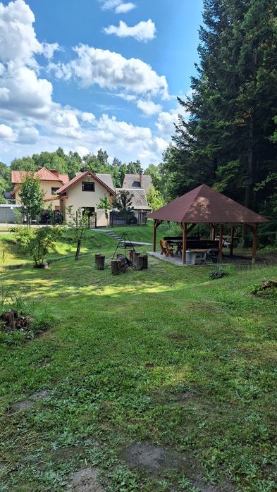Domek Lesiówka do wynajęcia