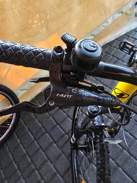 Rower arkus beryl 260