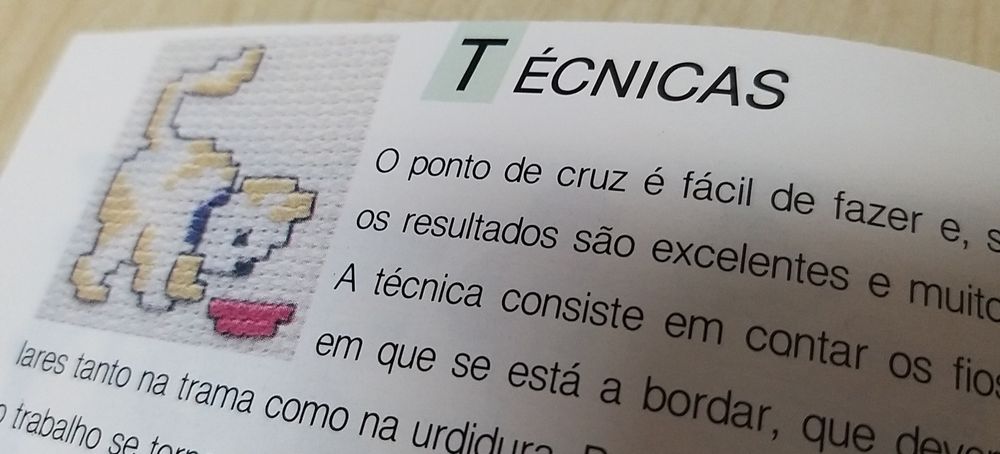 Guia prático de ponto de cruz.