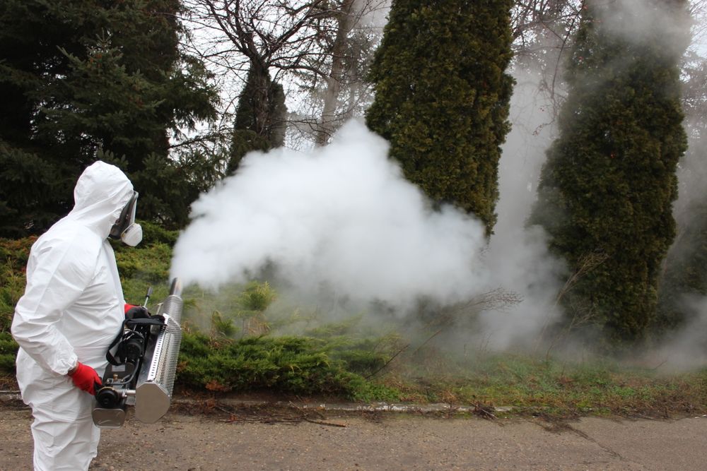 Deratyzacja, dezynfekcja dezynsekcja, ozonowanie