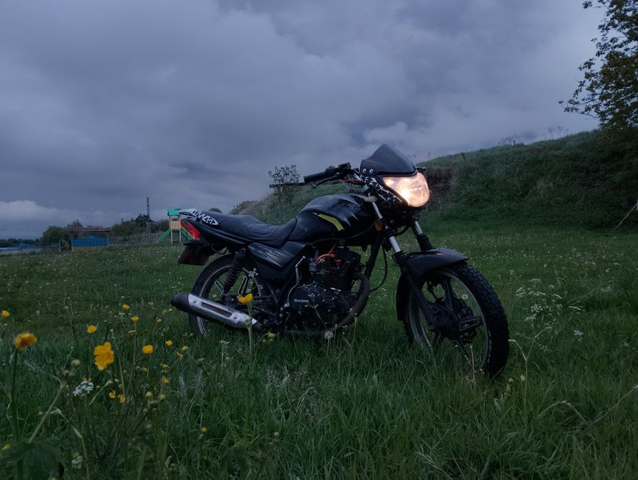 Мустанг регіон 150