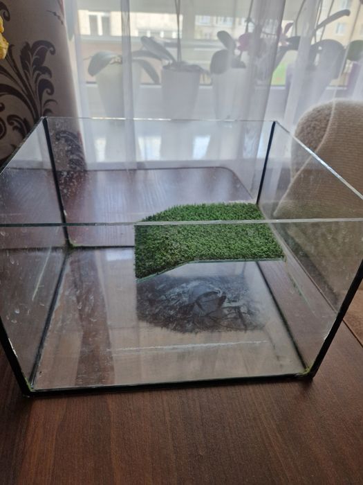 Акваріум для черепах