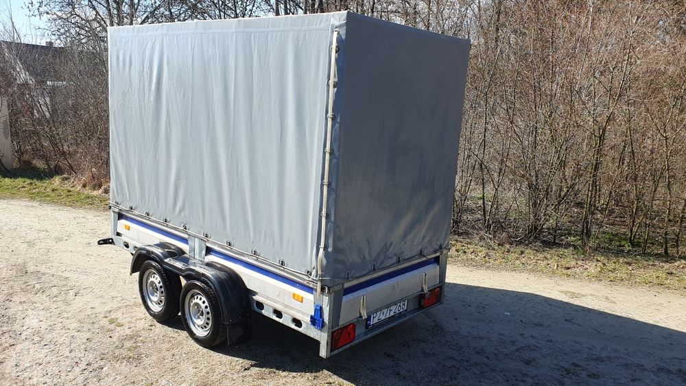 Wiola W3  292x142