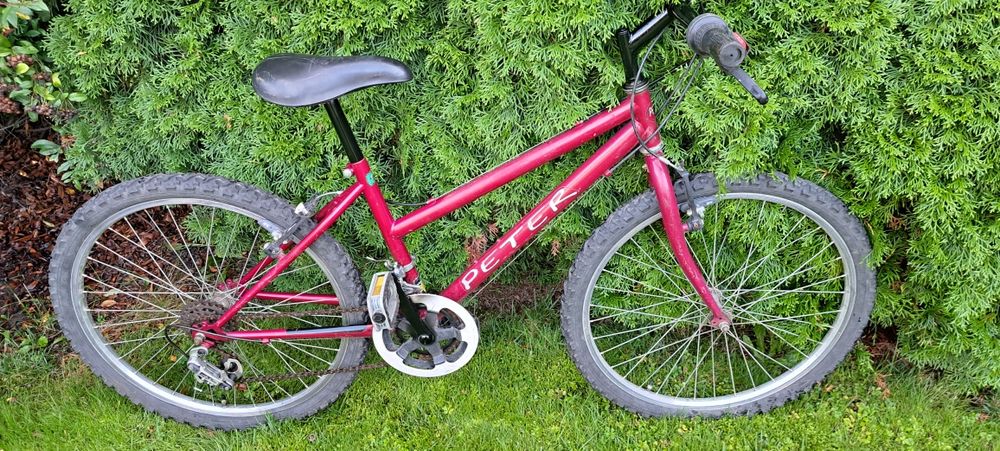 Rower PETER koła 24" osprzęt Shimano sprawny Poznań Ławica