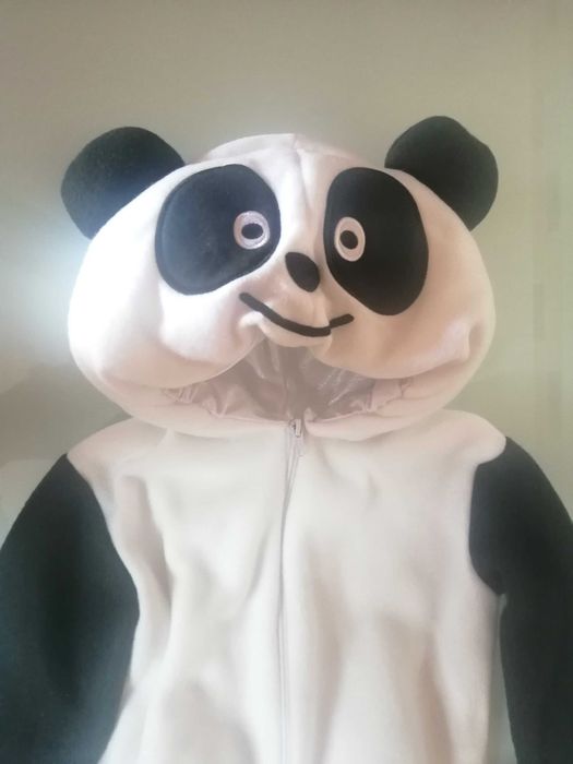 Fato de Carnaval do Panda